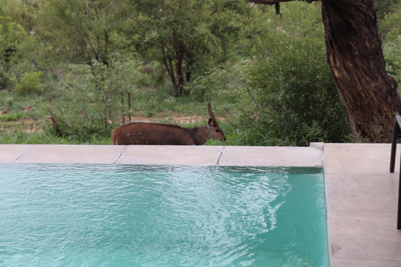Manzini River House - Mjejane Private Game Reserve, Greater Kruger National Park Hectorspruit Buitenkant foto
